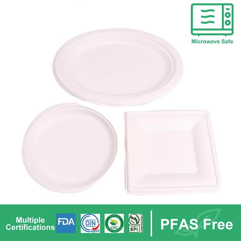 Bagasse Pulp Plate (1)