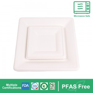 Biodegradable Bagasse Pulp Plate
