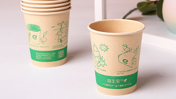Bamboo Pulp Paper Cups-3 (1)