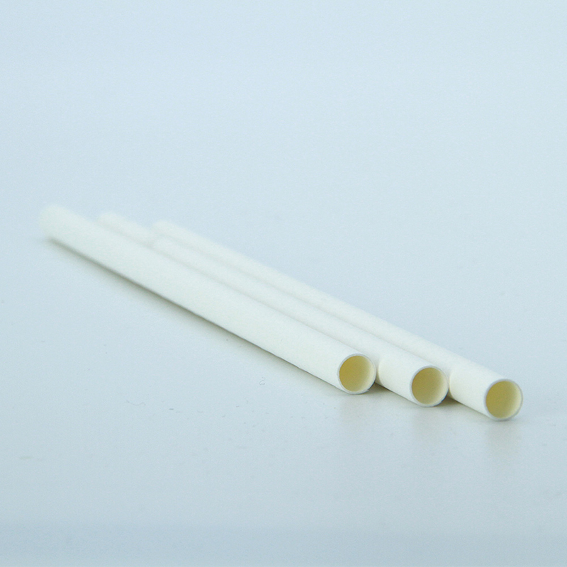 Paper Straw (2)