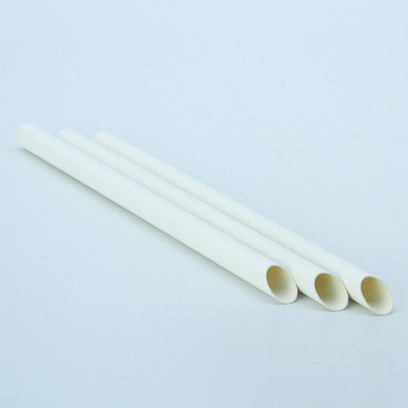 Paper Straw (3)