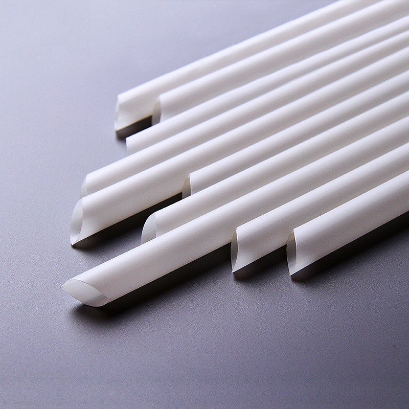 Plastic Straw (1)