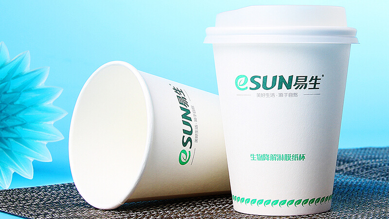 Single Wall Paper Cup (1)