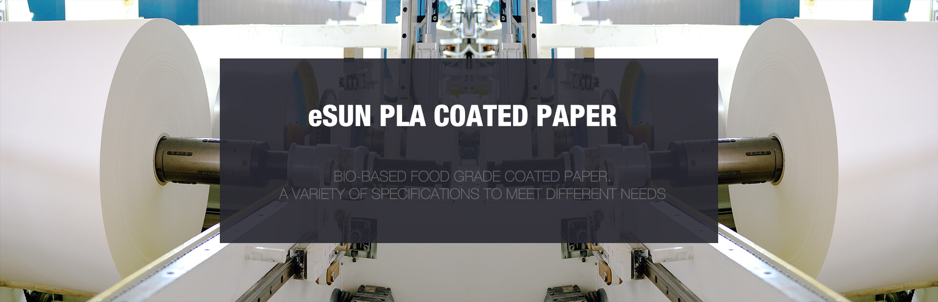 PLA/PE Coated Paper